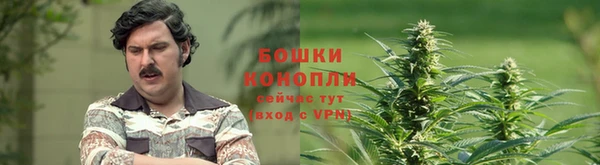 марихуана Беломорск