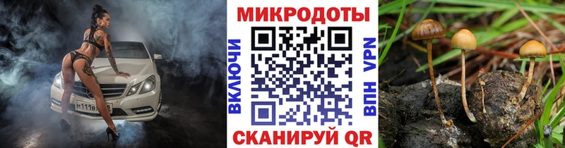 Галлюциногенные грибы GOLDEN TEACHER  как найти закладки  Верещагино 